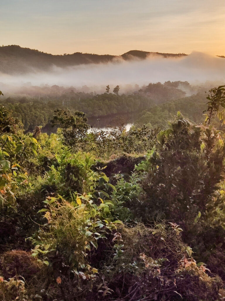 Brume matinale sur la riviere vue depuis la chambre d'hotel.