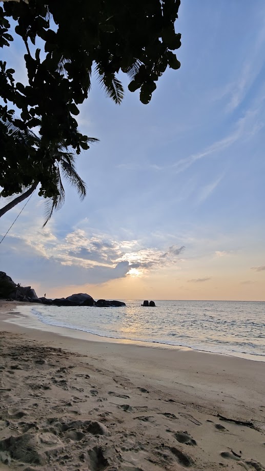 plage tranquille koh tao